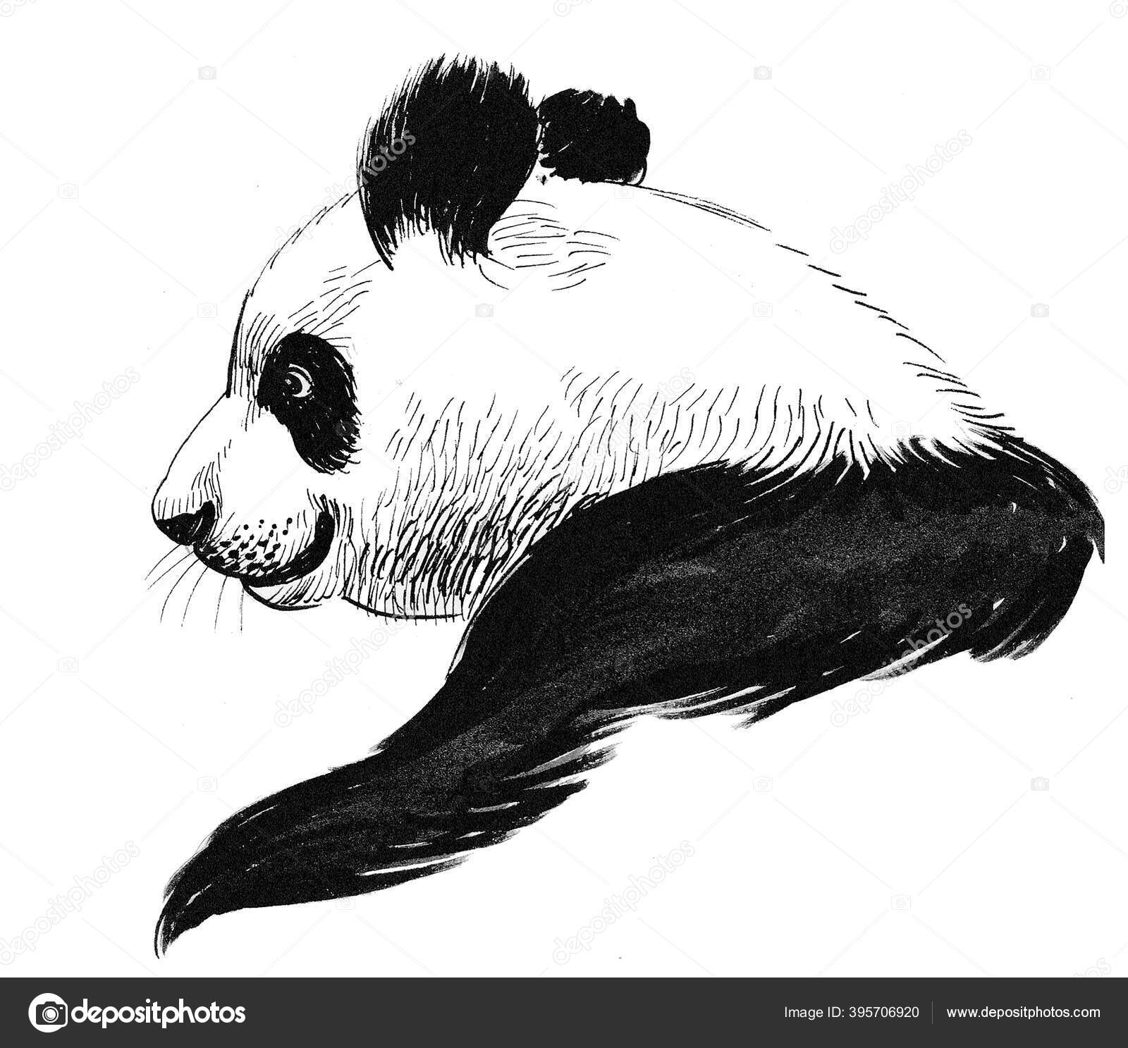 Retrato De Uma Ilustração Realista Do Desenho Vetorial Do Panda Divertida  Ilustração do Vetor - Ilustração de pouco, nave: 178022603