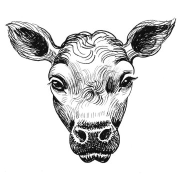 Baldır kafa. Mürekkep siyah beyaz çizim