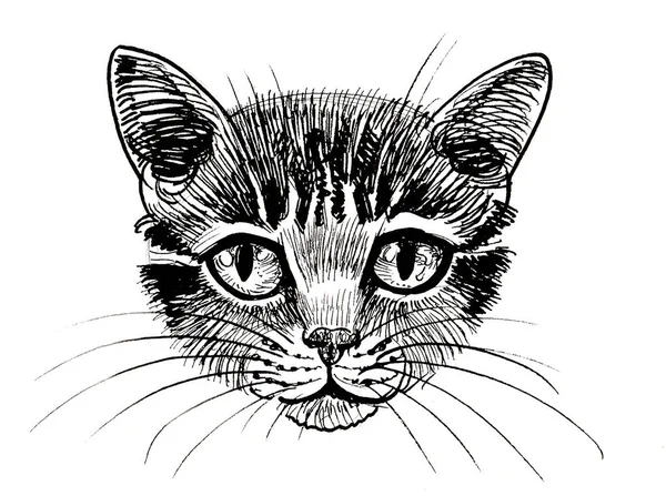 Linda Cabeza Gato Dibujo Blanco Negro Tinta —  Fotos de Stock