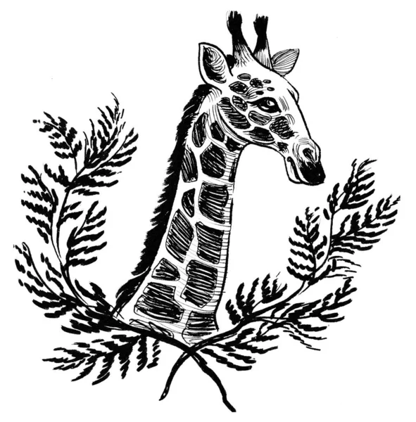 Žirafí Hlava Větve Stromů Černobílá Kresba Inkoustu — Stock fotografie