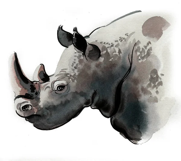 Tête Rhinocéros Dessin Encre Aquarelle — Photo