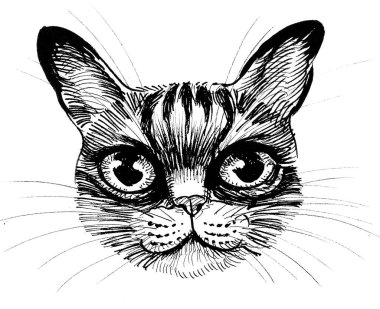 Kızgın görünümlü kedi. Mürekkep siyah ve beyaz çizim
