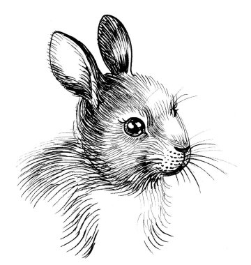 Sevimli yavru tavşan. Mürekkep siyah beyaz çizim
