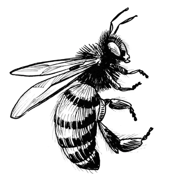 Latające Pszczoły Atrament Czarny Biel Rysunek — Zdjęcie stockowe
