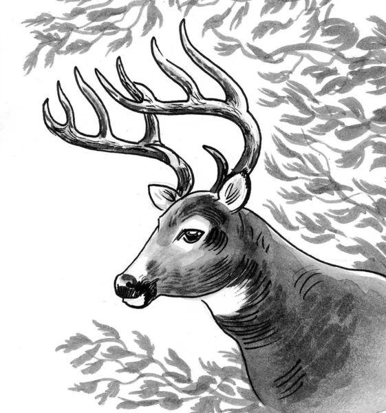 鹿の頭を刺せ インク黒と白の描画 — ストック写真
