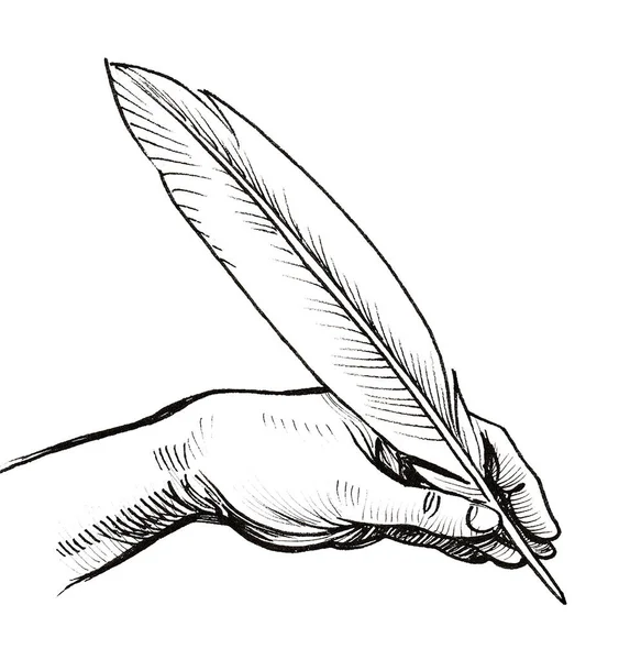 Χέρι Κρατώντας Ένα Φτερό Πένα Μελάνι Ασπρόμαυρο Σχέδιο — Φωτογραφία Αρχείου