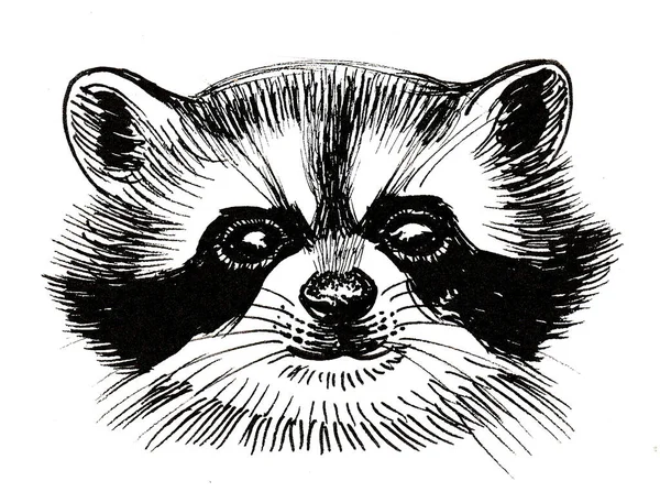 Cute Raccoon Portrait Ink Black White Drawing — Stock Photo, Image