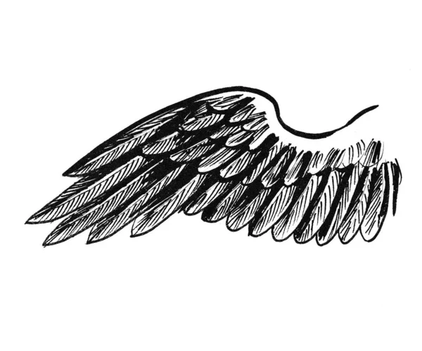 Ptačí Křídlo Černobílá Kresba Inkoustu — Stock fotografie