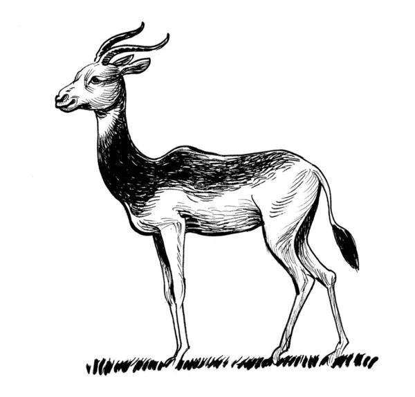 Afrika Antilopları Mürekkep Siyah Beyaz Çizim — Stok fotoğraf