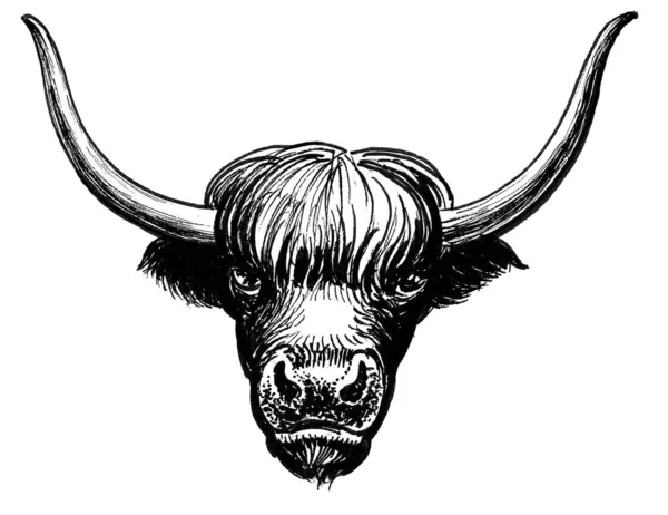 Yak Bull Head Ink Black White Drawing — Stock Photo, Image