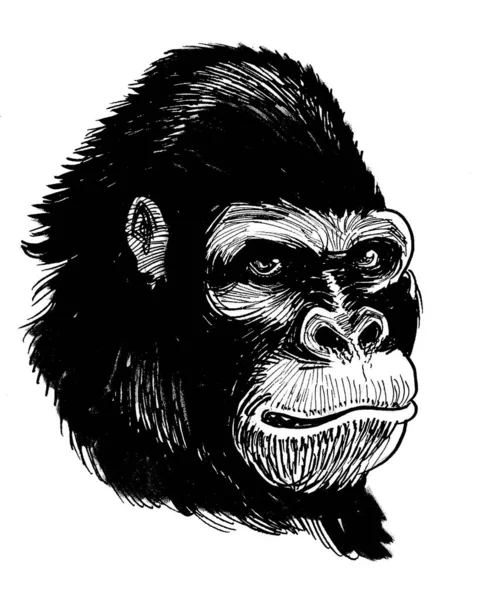 Galning Som Ser Som Gorillapa Bläck Svart Och Vitt Ritning — Stockfoto