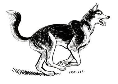 Koşan güçlü köpek. Mürekkep siyah beyaz çizim