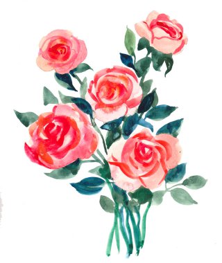 Kırmızı gül çiçekleri. Suluboya resim