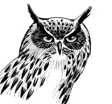 Baykuş kuşu. Mürekkep siyah beyaz çizim