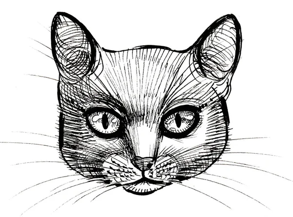 Bonito Retrato Gato Dibujo Blanco Negro Tinta — Foto de Stock