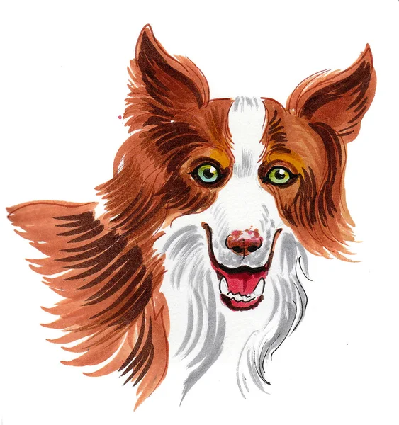 Cute Dog Green Eyes Ink Watercolor Drawing — Stock Photo, Image