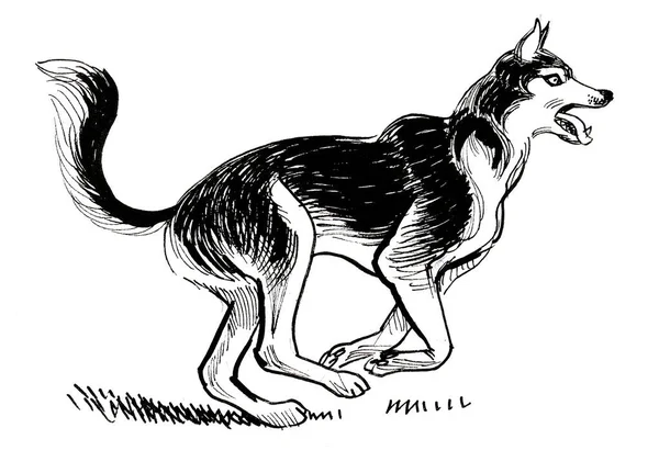 Koşan güçlü köpek. Mürekkep siyah beyaz çizim