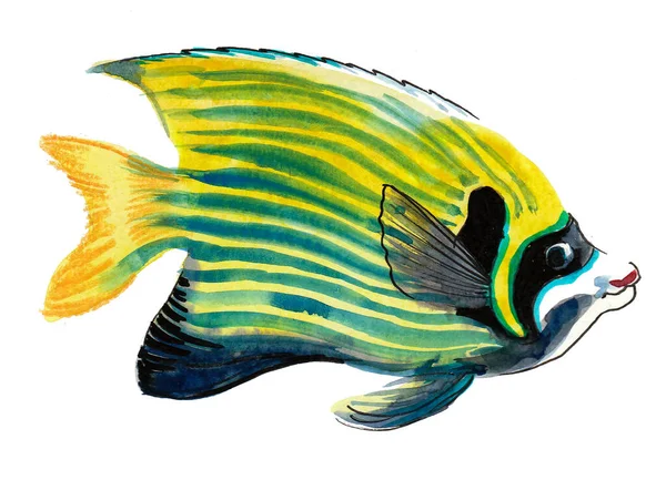 Ikan Terumbu Karang Yang Indah Dengan Sedikit Latar Belakang Lukisan — Stok Foto
