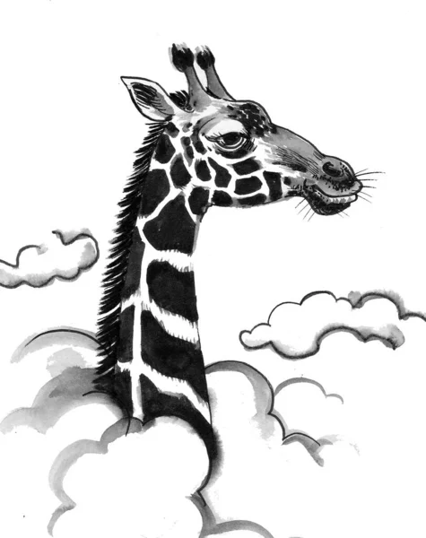 Cabeça Animal Girafa Céu Tinta Desenho Preto Branco — Fotografia de Stock