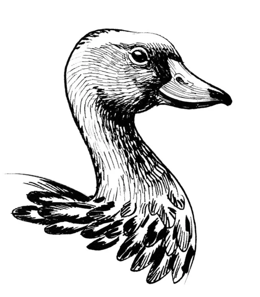 Głowa Ptaka Kaczki Czarno Biały Rysunek Atramentu — Zdjęcie stockowe