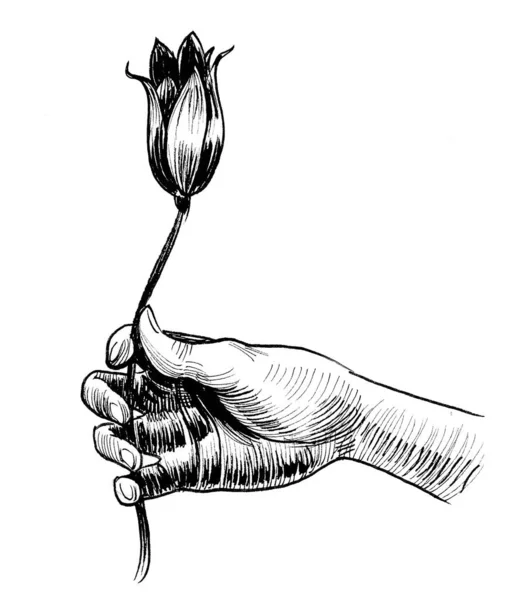 Ruka Drží Tulipánovou Květinu Černobílá Kresba Inkoustu — Stock fotografie
