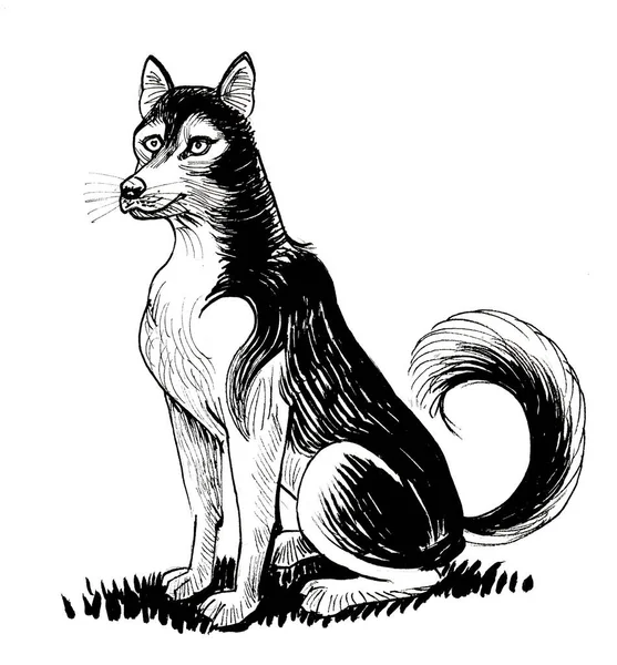 Sitting Husky Dog Ink Black White Drawing — Stock Photo, Image