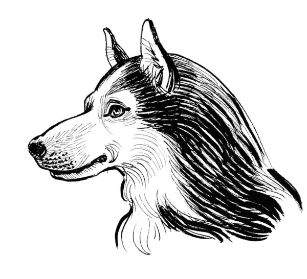 Husky Dog Head Ink Black White Drawing — Stock Photo, Image