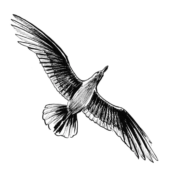 空飛ぶカモメのインク黒と白の図面 — ストック写真