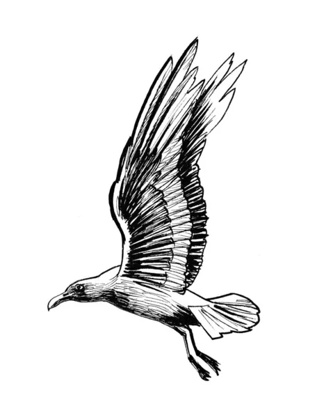 Pájaro Gaviota Volador Dibujo Blanco Negro Tinta — Foto de Stock