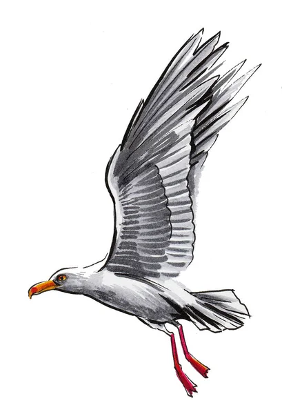 Mouette Volante Dessin Encre Aquarelle — Photo