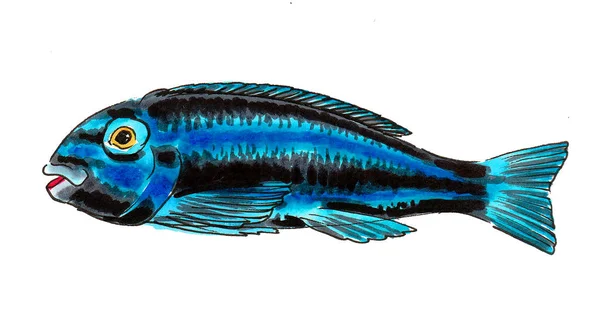 Ikan Tropis Berwarna Latar Belakang Putih Sketsa Warna Air — Stok Foto