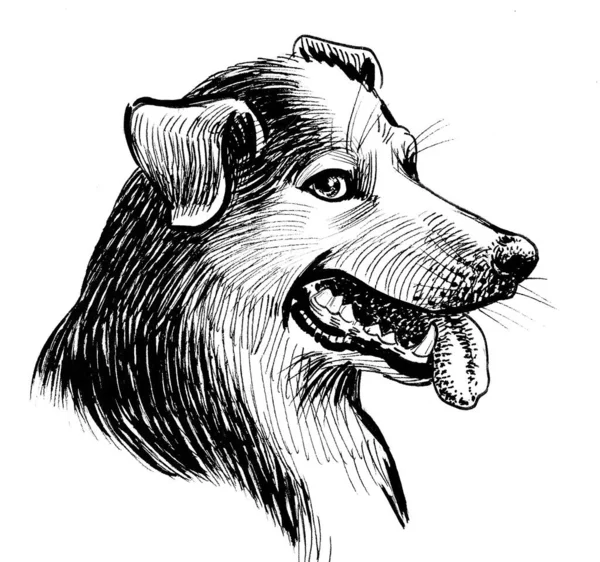 Cute Dog Portrait Ink Black White Drawing — Stock Photo, Image
