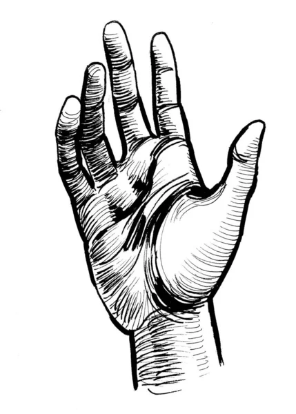 Menschliche Hand Schwarz Weiße Tuschezeichnung — Stockfoto