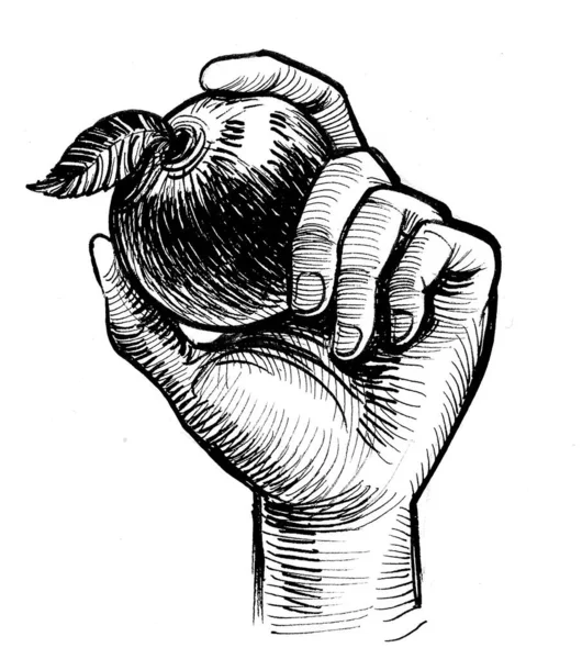 Handen Håller Äppelfrukt Bläck Svart Och Vitt Ritning — Stockfoto