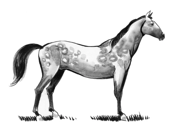 Cavalo Desenho Tinta Aquarela — Fotografia de Stock