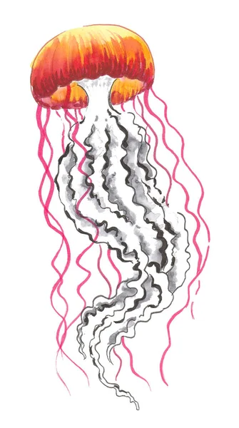 Отруйні Тропічні Медузи Малюнок Чорнила Акварелі — стокове фото