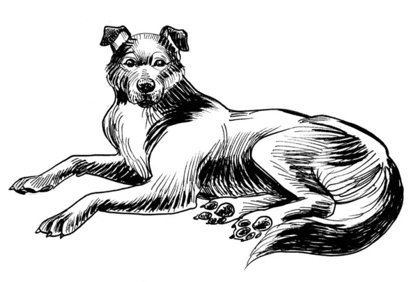Laying Dog Ink Black White Drawing — Stock Photo, Image