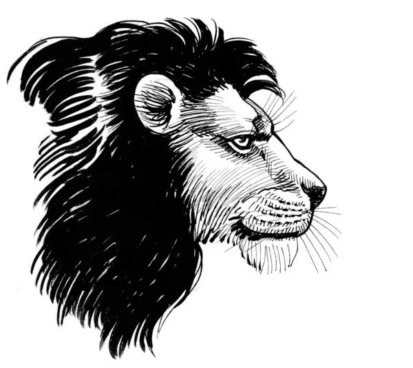 Κεφάλι Λιονταριού Μαύρη Χαίτη Μελάνι Ασπρόμαυρο Σχέδιο — Φωτογραφία Αρχείου