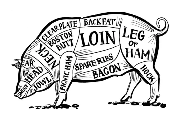 Pig Butchers Scheme Ink Black White Drawing — Stock Photo, Image