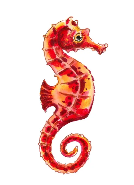 Red Seahorse Fish White Background Watercolor Painting — Stock Photo, Image