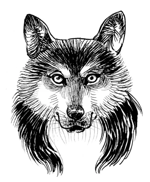 Wolf Head Ink Black White Drawing — Stock Photo, Image