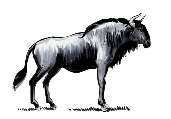 Antelope Gnu Bläck Och Akvarellteckning — Stockfoto