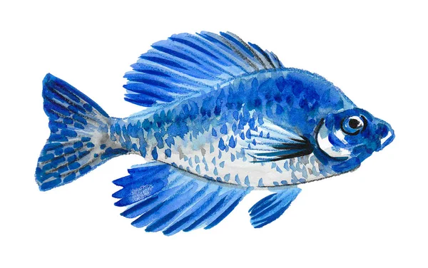 Koralle Tropische Fische Auf Weißem Hintergrund Tusche Und Aquarellzeichnung — Stockfoto