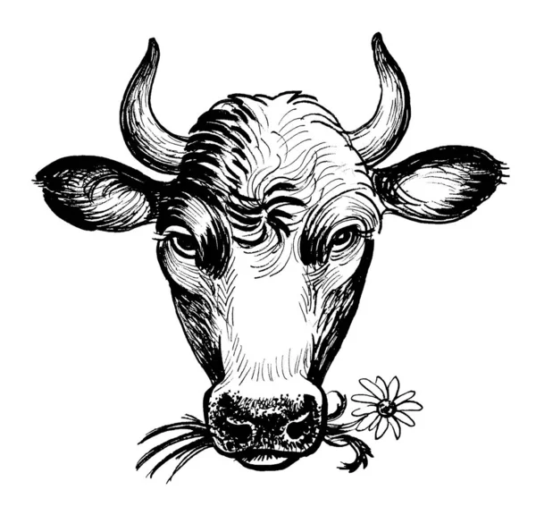 Корова Жує Квітку Чорно Білий Малюнок — стокове фото