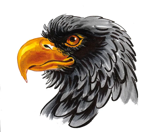 鹰鸟的头墨水和水彩画 — 图库照片