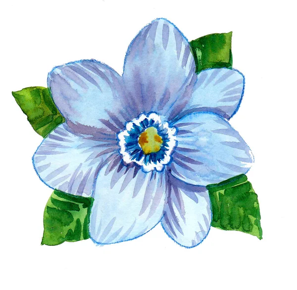 Bellissimo Fiore Con Foglie Verdi Sfondo Bianco Pittura Acquerello — Foto Stock