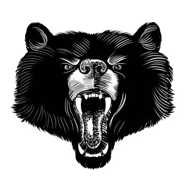 Kükreyen ayı. Elle çizilmiş siyah beyaz çizim