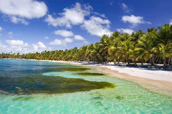 Dominican Republic, the Caribbean Sea, the sunny beaches of Saona Island