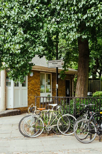 Bikes chaind to the fence under the tree — Stock Photo, Image