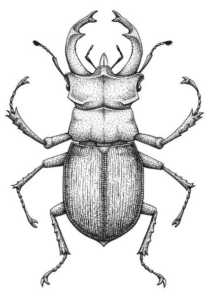 Escarabajo ciervo tatuaje arte. Lucanus cervus. Tatuaje de trabajo de punto. Insecto. Símbolo de autoridad, fuerza, poder y nobleza . — Foto de Stock